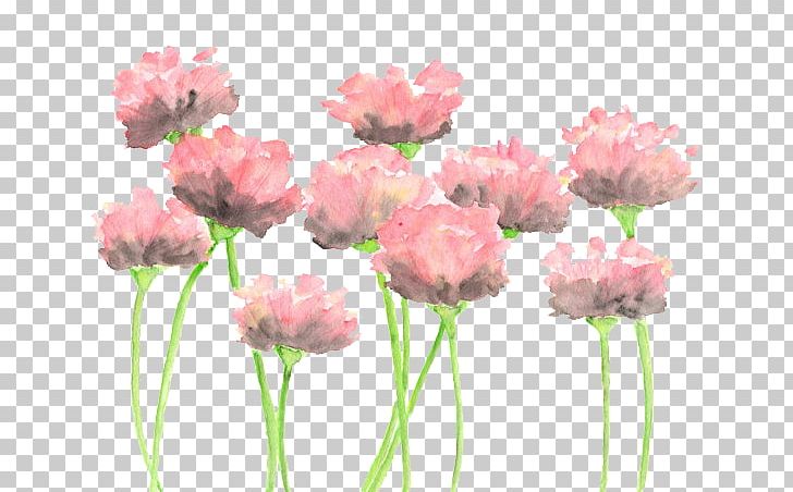 Watercolour Flowers Watercolor: Flowers Watercolor Painting Pink Flowers PNG, Clipart, Abstract Art, Annual Plant, Art, Artificial Flower, Cut Flowers Free PNG Download