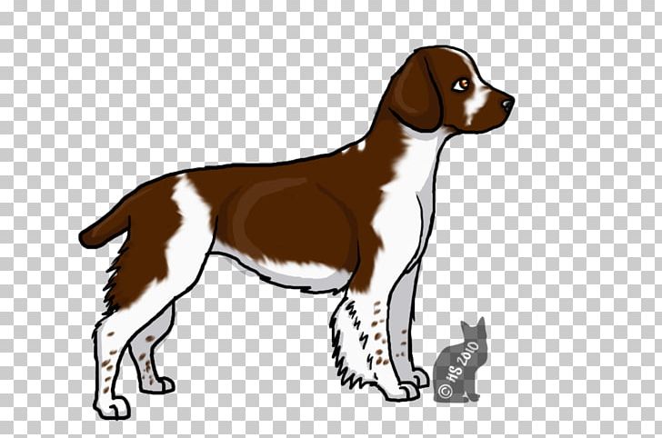 Drentse Patrijshond English Springer Spaniel Small Münsterländer Puppy Dog Breed PNG, Clipart, Breed, Brittany, Carnivoran, Companion Dog, Dog Free PNG Download