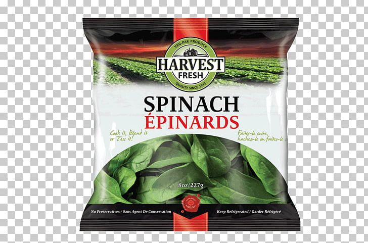 Leaf Vegetable Spinach Salad Creamed Spinach PNG, Clipart, Butternut Squash, Chicory, Cooking, Creamed, Creamed Spinach Free PNG Download