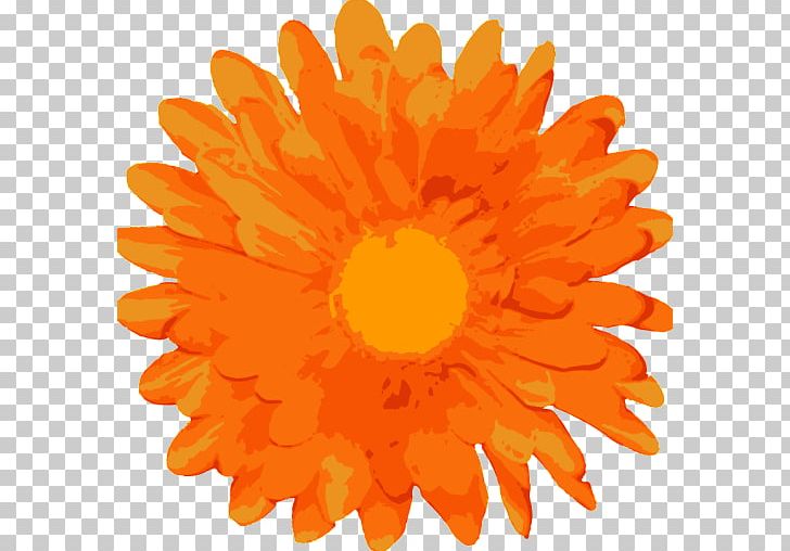 Motif Drawing PNG, Clipart, Art, Calendula, Chrysanths, Computer Icons, Daisy Family Free PNG Download