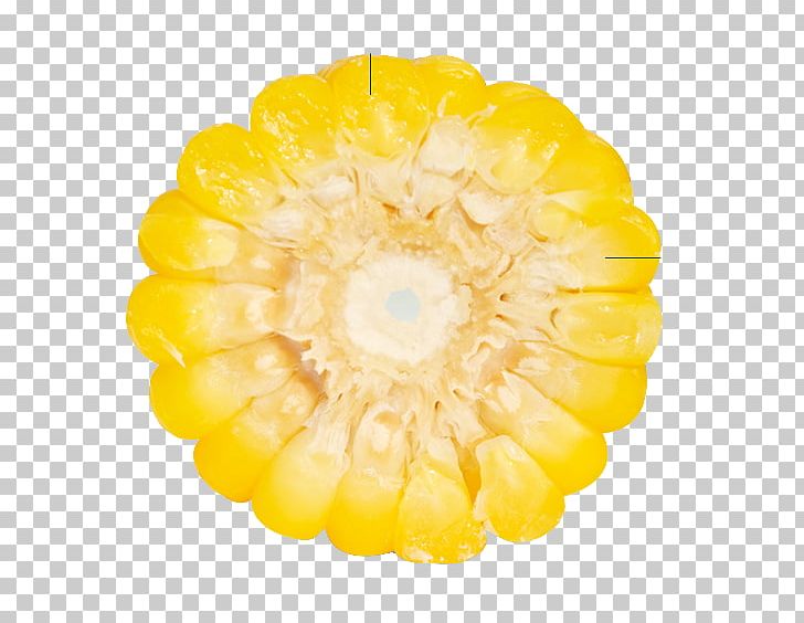 Waxy Corn Organic Food Corn Kernel Corncob PNG, Clipart, Aerial View, Block, Circle, Corn, Corn Block Free PNG Download