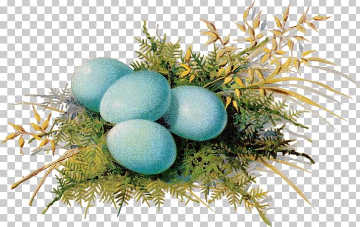 Egg Casserole Shirred Eggs Recipe Bisquick PNG, Clipart, Betty Crocker, Bird Nest, Bisquick, Casserole, Easter Free PNG Download