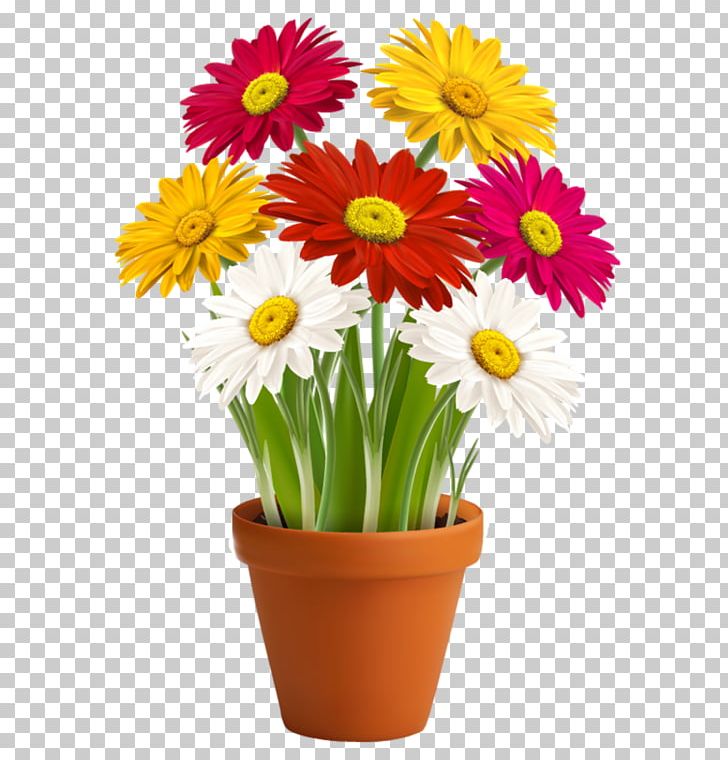 Graphics Transvaal Daisy Flower Illustration PNG, Clipart, Annual Plant, Artificial Flower, Chrysanths, Cut Flowers, Daisy Free PNG Download
