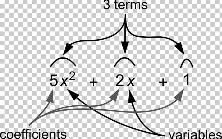Polynomial Mammal Anatomy Equation Nose PNG, Clipart, Anatomy, Angle, Area, Art, Black Free PNG Download