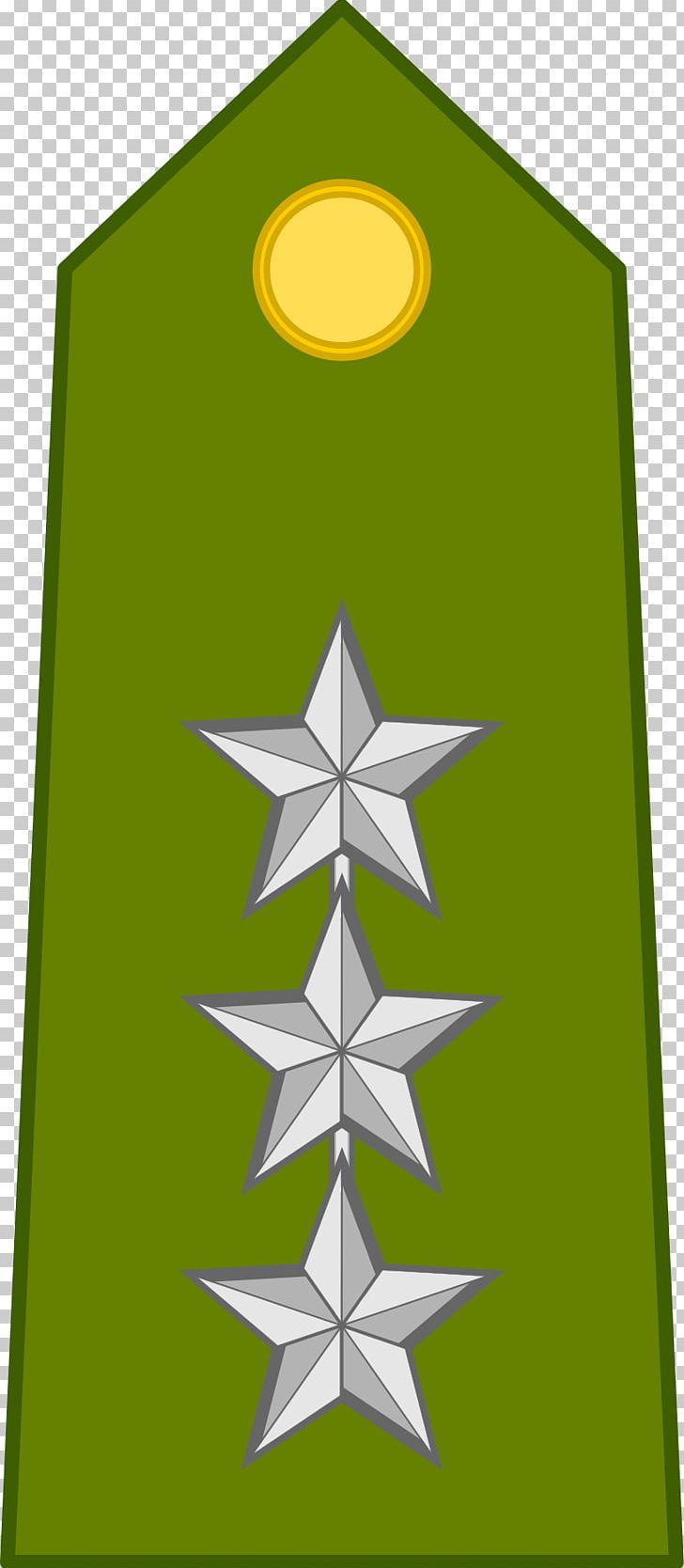 Somalia Somali Air Force Military Somali Armed Forces PNG, Clipart, Air Force, Angle, Christmas Tree, Conifer, Corps Free PNG Download