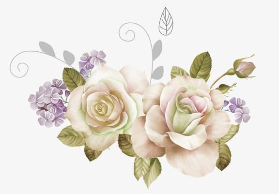 White Roses PNG, Clipart, Flowers, Green, Green Leaves, Leaves, Rose Free PNG Download