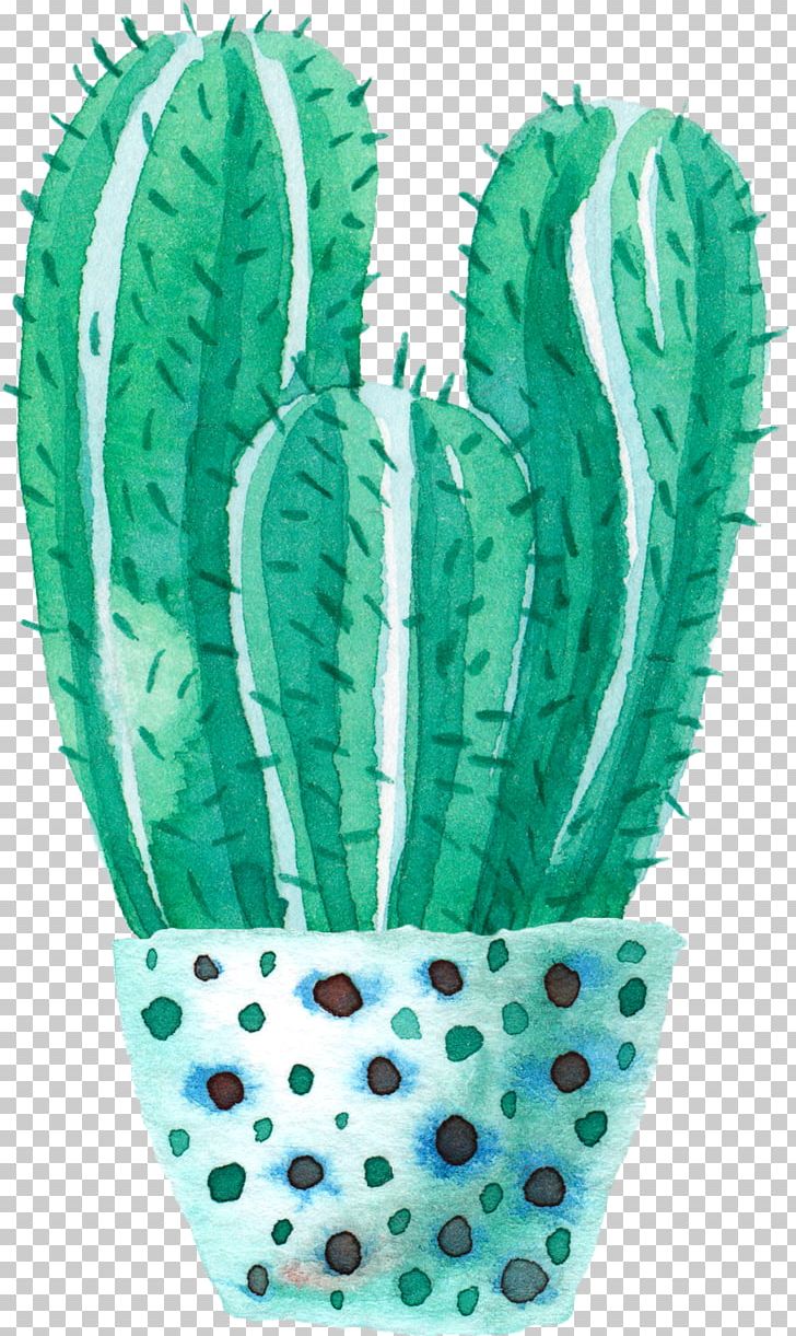 Cactaceae Watercolor Painting PNG, Clipart, Ball, Cactus, Canvas, Drawing, Echinopsis Oxygona Free PNG Download