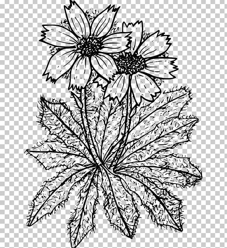 Floral Design Coloring Book Cut Flowers PNG, Clipart, Artwork, Black And White, Chrysanthemum, Chrysanths, Color Free PNG Download