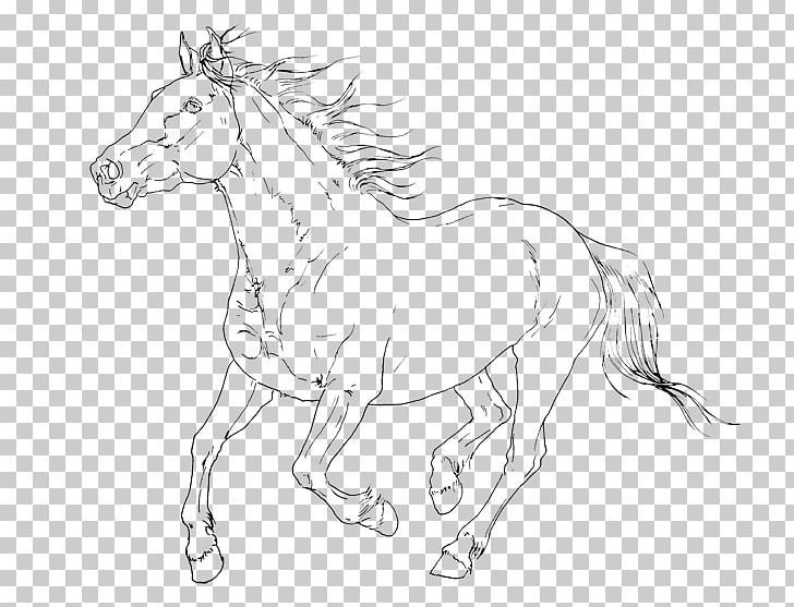 Mule Foal Bridle Mustang /m/02csf PNG, Clipart, Animal Figure, Artwork, Black And White, Bridle, Canadian Flag Free PNG Download