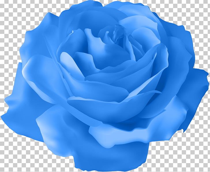 Rose Purple PNG, Clipart, Azure, Blue, Blue Rose, Bud, Clipart Free PNG Download