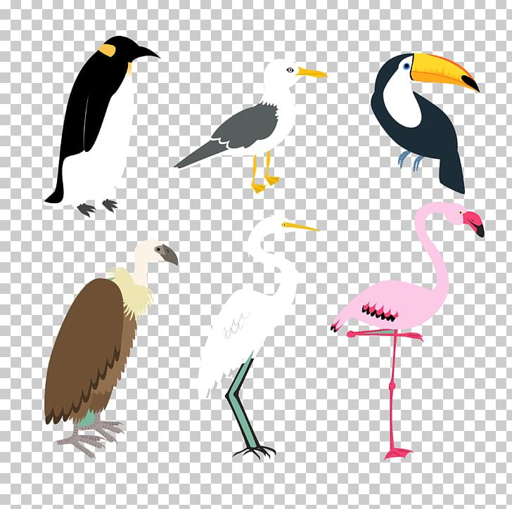 Bird PNG, Clipart, Animal, Animal Vector, Animation, Anime Character, Anime Eyes Free PNG Download