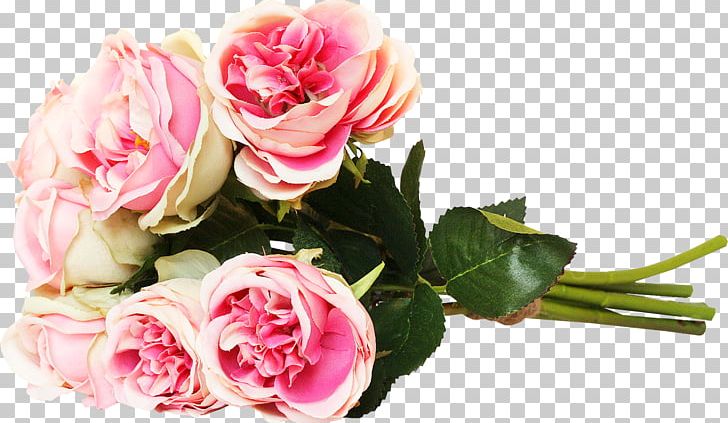 Friendship Physical Intimacy Greeting Kiss Flower PNG, Clipart, Afternoon, Artificial Flower, Cut Flowers, Day, Floral Design Free PNG Download