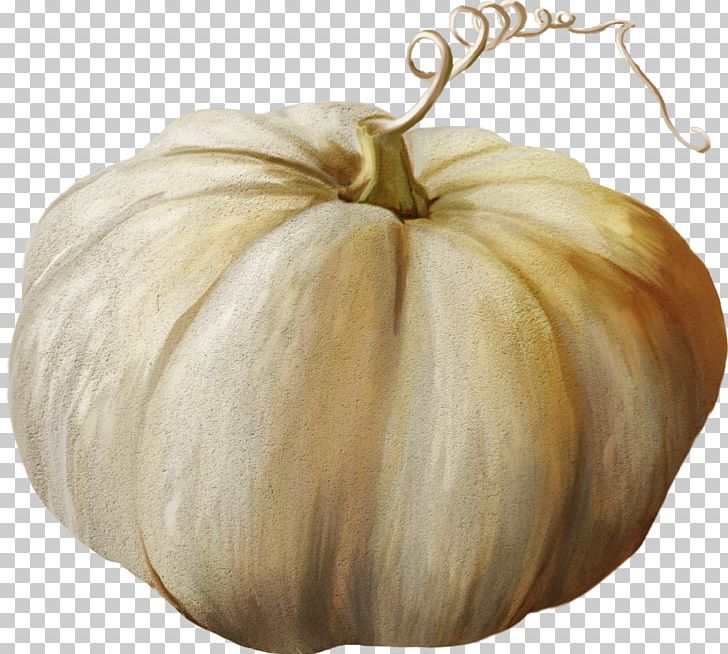 Pattypan Squash Calabaza Gourd Winter Squash PNG, Clipart, Autumn, Calabaza, Cucumber Gourd And Melon Family, Cucurbita, Download Free PNG Download
