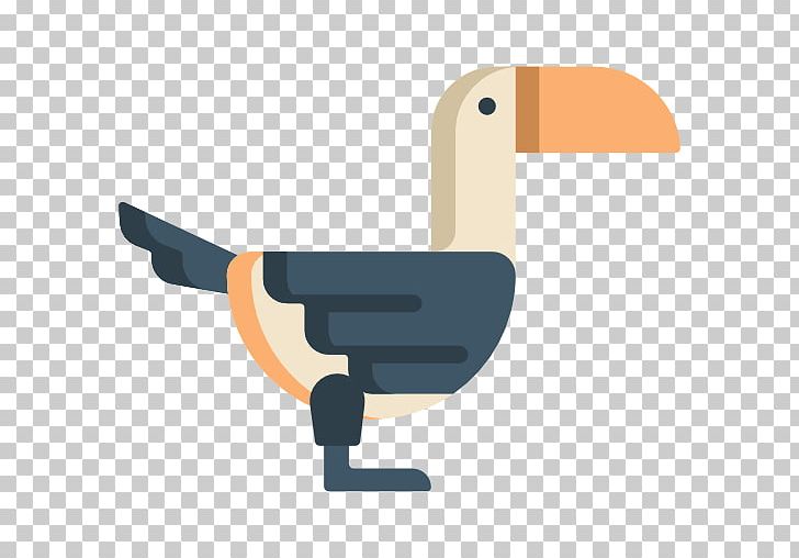 Water Bird Cygnini Goose Duck PNG, Clipart, Anatidae, Angle, Animal, Animals, Beak Free PNG Download