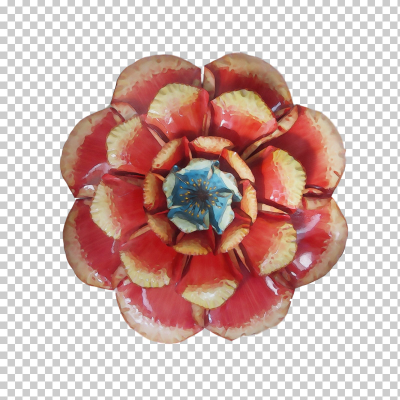 Cut Flowers Petal Flower PNG, Clipart, Cut Flowers, Flower, Paint, Petal, Watercolor Free PNG Download
