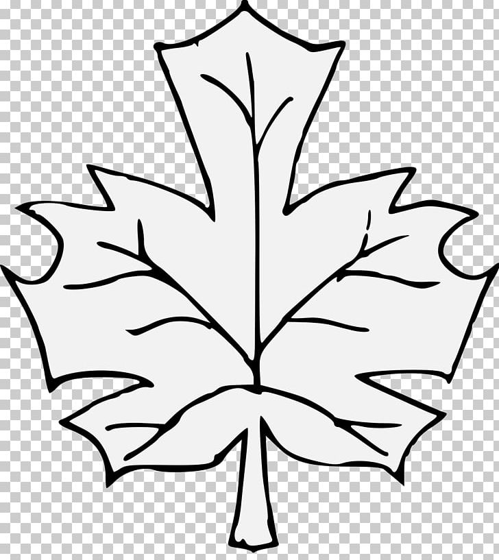 Art Museum Drawing Maple Leaf PNG, Clipart, Art, Art History, Art Museum, Artwork, Black And White Free PNG Download