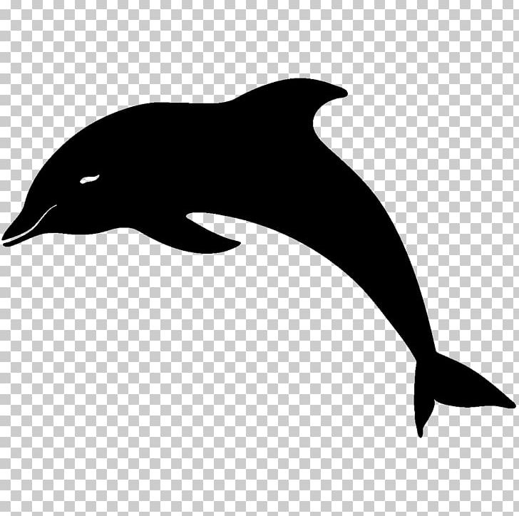 Bottlenose Dolphin Drawing PNG, Clipart, Animals, Art, Beak, Bird, Black And White Free PNG Download