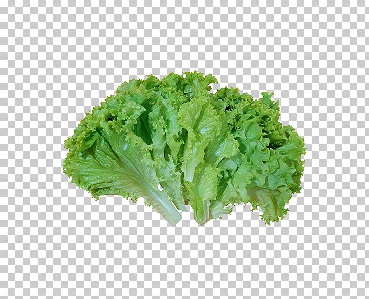 Caesar Salad Leaf Vegetable Lettuce PNG, Clipart, Broccoli, Caesar Salad, Collard Greens, Coriander, Cruciferous Vegetables Free PNG Download