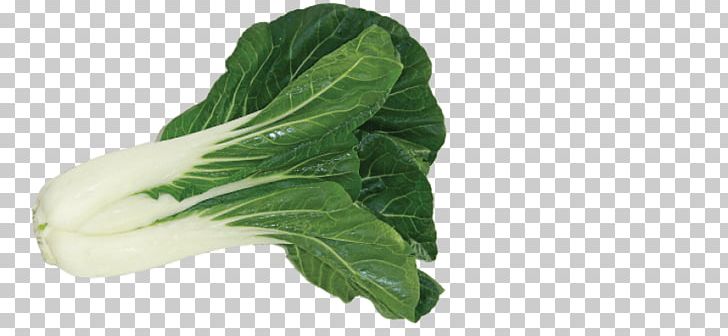 Chard Choy Sum PNG, Clipart, Bok Choy, Cabbage, Chard, Choy Sum, Collard Greens Free PNG Download