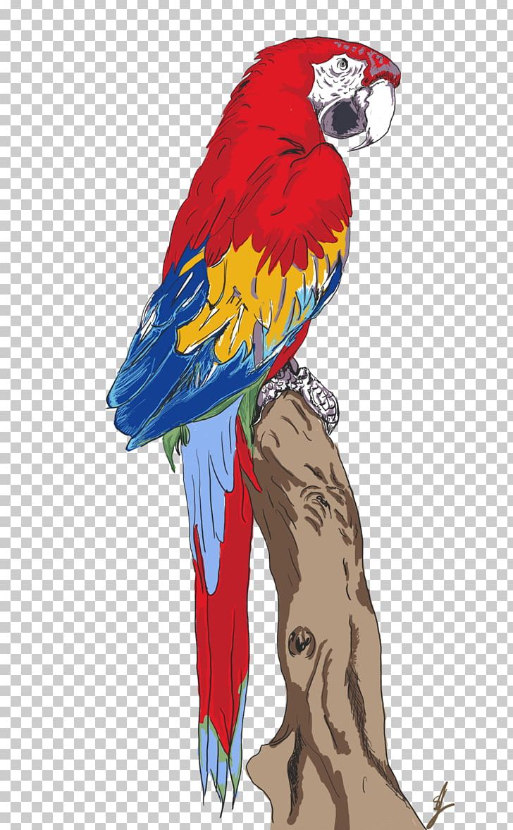 Macaw Parrot Beak Feather PNG, Clipart, Animals, Art, Beak, Bird, Fauna Free PNG Download