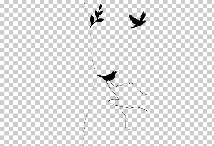 /m/02csf Drawing Water Bird Silhouette PNG, Clipart, Art, Beak, Bird, Black, Black And White Free PNG Download