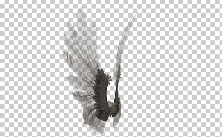 Wing Insect Butterfly Feather PNG, Clipart, Angel, Animals, Art, Black And White, Butterfly Free PNG Download