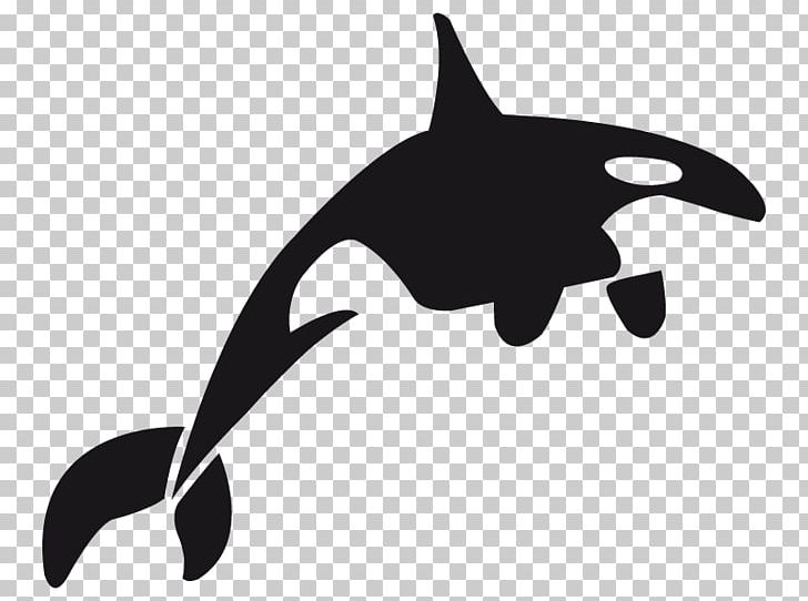 Dolphin Killer Whale Toothed Whale Whales PNG, Clipart, Animal, Beak, Black And White, Cetaceans, Decal Free PNG Download