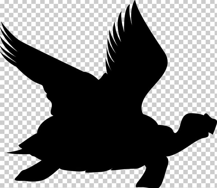 Duck Baguazhang Kung Fu Shaolin Monastery Bird PNG, Clipart, Animal, Animals, Baguazhang, Beak, Bird Free PNG Download