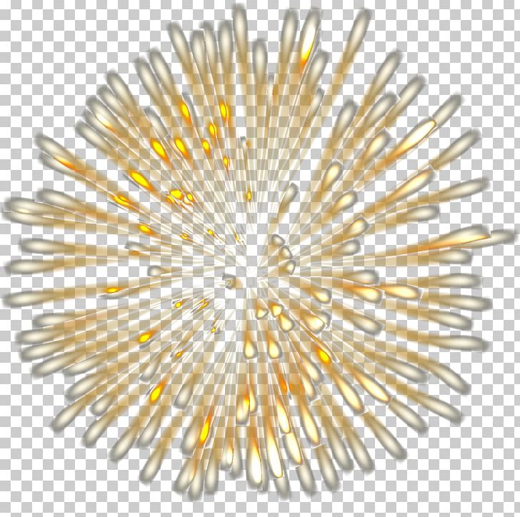 Euclidean Fireworks Pattern PNG, Clipart, Bloom, Celebrate, Christmas Decoration, Decorative, Firework Free PNG Download