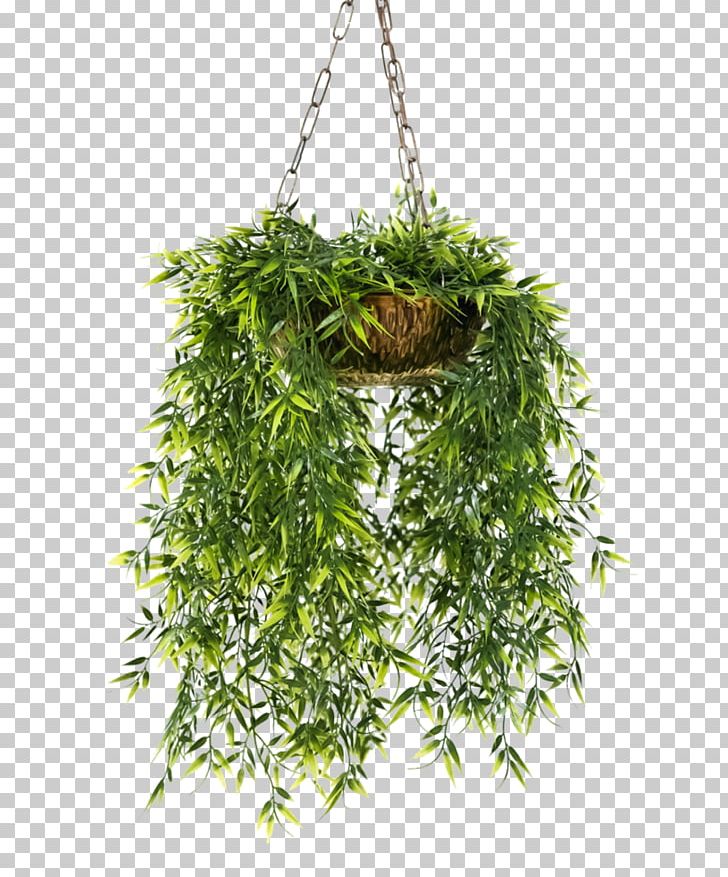 Flowerpot Houseplant Hanging Basket PNG, Clipart, Basket Flower, Container Garden, Desktop Wallpaper, Flower Pot, Flowerpot Free PNG Download