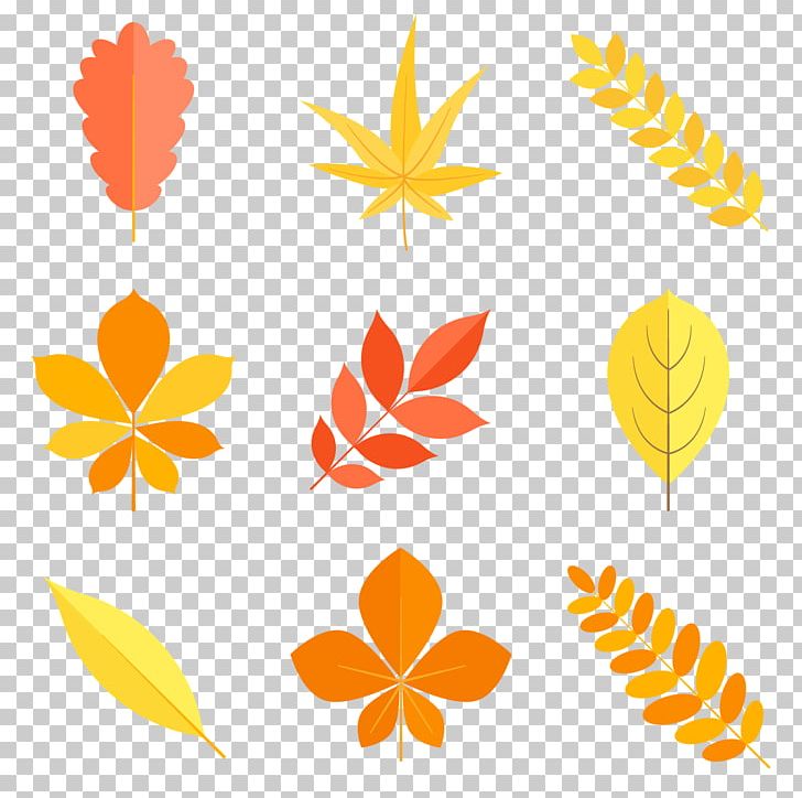 Leaf PNG, Clipart, Area, Autumn, Autumn Leaves, Clip Art, Colors Free PNG Download