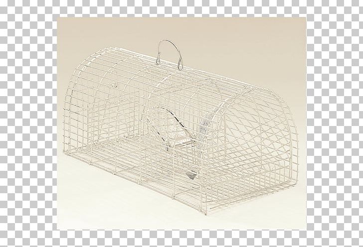 Rodent Rat Mousetrap Ansa PNG, Clipart, Adhesive, Ambiente, Ansa, Catalog, Health Free PNG Download
