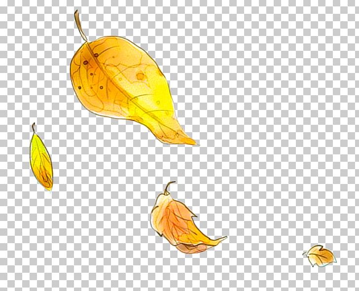 Autumn Leaf Yellow PNG, Clipart, Autumn, Autumn Harvest, Autumn Leaf, Computer Wallpaper, Deciduous Free PNG Download