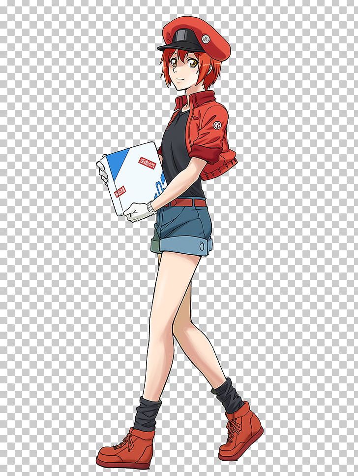 Cells At Work! MyAnimeList Manga PNG, Clipart, Actor, Anime, Belldandy, Cartoon, Cells At Work Free PNG Download