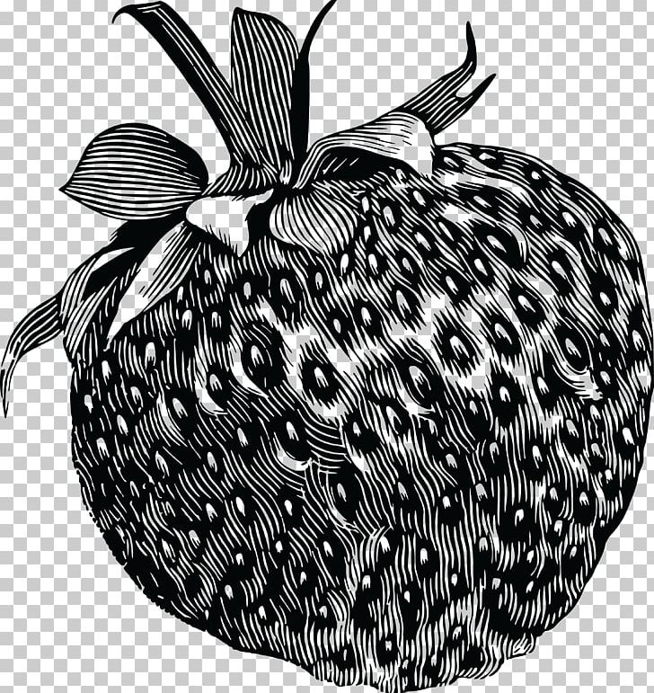 Drawing Strawberry Fruit PNG, Clipart, Berry, Black And White, Drawing, Food, Fruit Free PNG Download