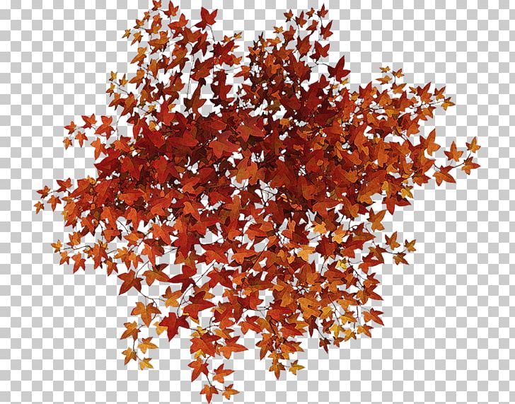 Leaf Portable Network Graphics Painting PNG, Clipart, Art, Autumn, Beauty, Blog, Conifer Cone Free PNG Download