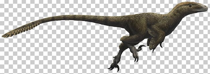 Velociraptor Utahraptor Deinonychus Dinosaur Tyrannosaurus PNG, Clipart, Achillobator, Acrocanthosaurus, Animal Figure, Carcharodontosaurus, Claw Free PNG Download