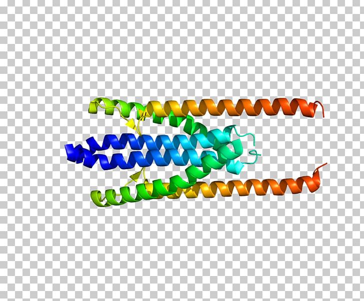 PRC1 Cytokinesis Cell Cycle Protein Gene PNG, Clipart, Anaphase, Area, Brand, Cell, Cell Cycle Free PNG Download