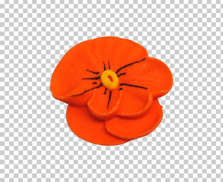 The Poppy Family PNG, Clipart, Flower, Flowering Plant, Orange, Others, Petal Free PNG Download