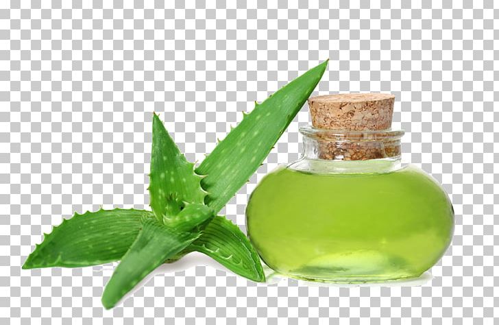 Aloe Vera Gel Oil Skin Care Health PNG, Clipart, Aloe, Aloe Vector, Aloe Water, Aloin, Alternative Medicine Free PNG Download
