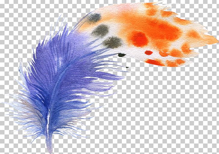 Bird Feather Watercolor Painting Drawing Illustration PNG, Clipart, Animals, Bird, Bohochic, Cartoon, Cartoon Feather Free PNG Download
