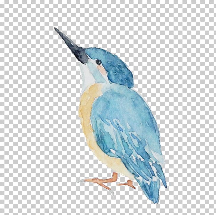 Bird House Sparrow PNG, Clipart, Animals, Beak, Bird, Bird House, Blue Free PNG Download