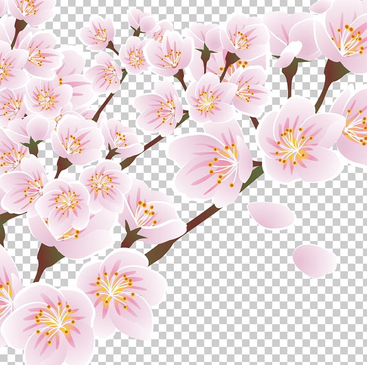 Gratis PNG, Clipart, Blossom, Branch, Cherry Blossom, Creative Ads, Creative Artwork Free PNG Download