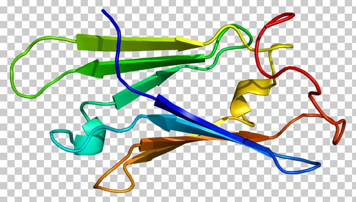 Protein Gene Hsp104 Skp1 SUGT1 PNG, Clipart, Area, Artwork, Cell, Fus, Gene Free PNG Download