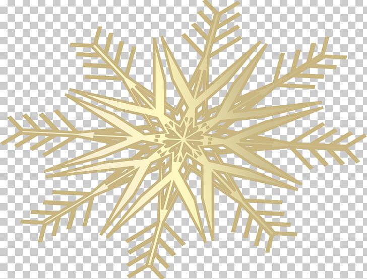 Snowflake Schema PNG, Clipart, Balloon Cartoon, Boy Cartoon, Button, Cartoon, Cartoon Character Free PNG Download