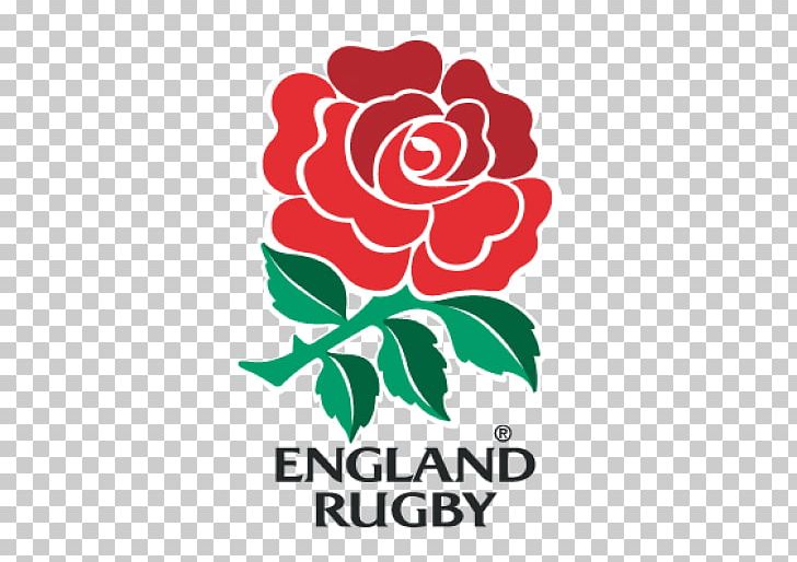 England National Rugby Union Team Rugby World Cup Australia National Rugby Union Team Scotland National Rugby Union Team Irish Rugby PNG, Clipart, American Football, Area, Artwork, Flower, Leaf Free PNG Download
