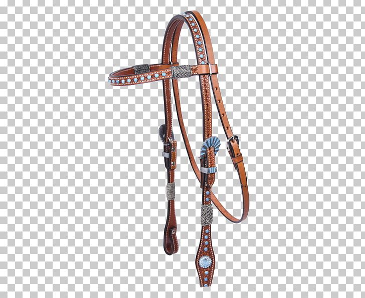 Horse Tack Bridle Amazon CloudFront Bit PNG, Clipart, Amazon Cloudfront, Animals, Belay Device, Bit, Bosal Free PNG Download