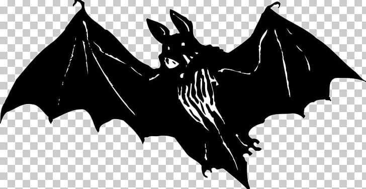 Microbat PNG, Clipart, Animal, Animals, Bat, Black And White, Dragon Free PNG Download