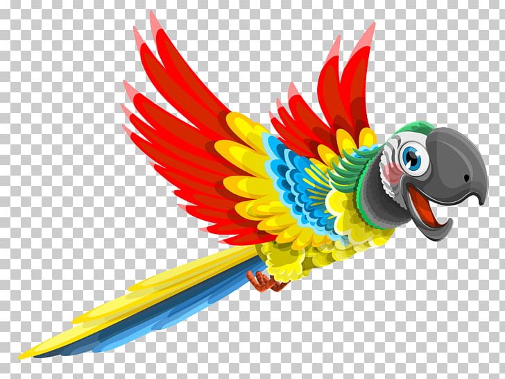 Parrot Bird PNG, Clipart, Beak, Bird, Blueandyellow Macaw, Budgerigar, Cartoon Free PNG Download