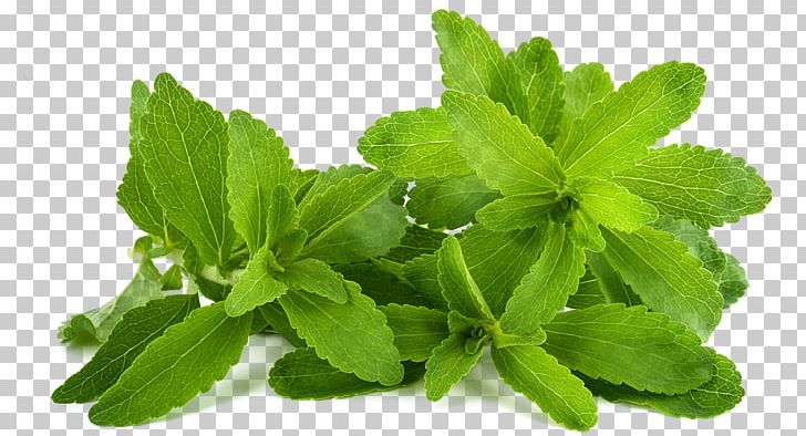 Stevia Candyleaf Sugar Substitute Steviol Glycoside Sweetness PNG, Clipart, Aftertaste, Calorie, Extract, Glycoside, Grass Free PNG Download